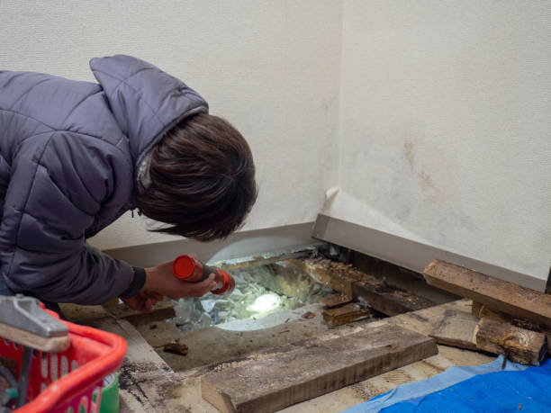 Best Mold Prevention Services  in Litchfield, MI