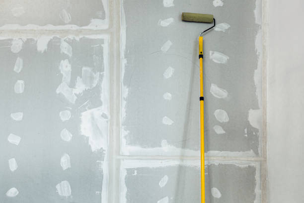 Best Mold Removal for HVAC Installations  in Litchfield, MI