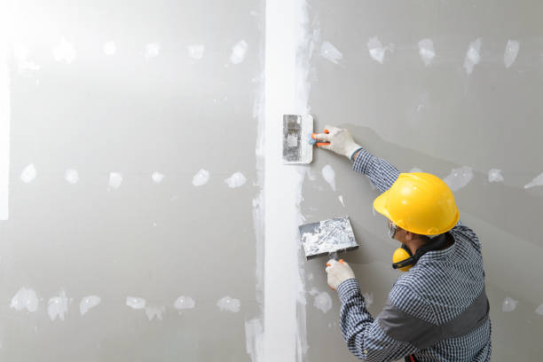 Best Mold-Related Health Consultation  in Litchfield, MI