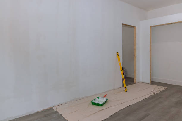 Best Asbestos and Lead Testing During Mold Inspection  in Litchfield, MI