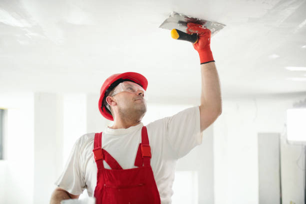 Trusted Litchfield, MI Mold Removal Experts