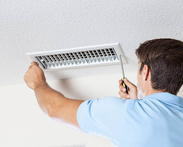 Best Crawl Space Mold Remediation  in Litchfield, MI