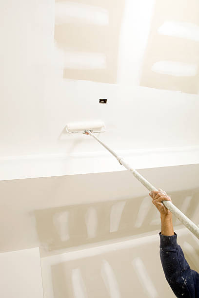 Best Industrial Mold Remediation  in Litchfield, MI