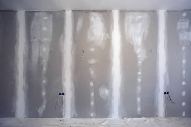 Best Basement Mold Removal  in Litchfield, MI